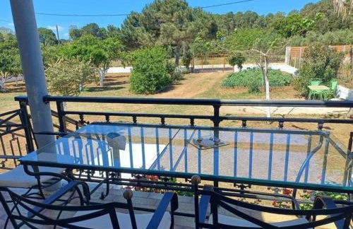 Sofia's Yard House - Foto 48