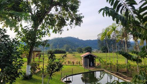 Cantinho da nona Nova Trento SC - Foto 3