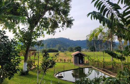 Cantinho da nona Nova Trento SC - Foto 3