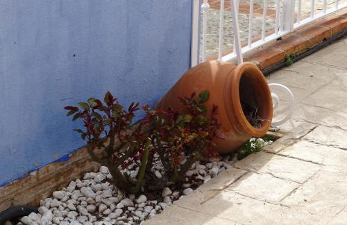 Finca Las Eras - Foto 35