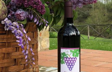 Salceta, a Tuscany Country House - Photo 34