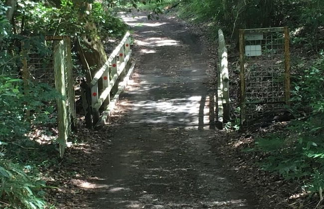 Arcadia Retreat - Foto 21