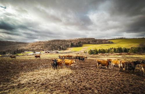 Hamden Hill House - Foto 36