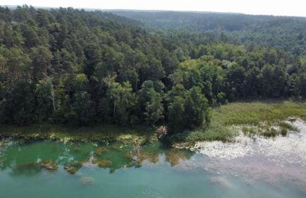 Domek letniskowy całoroczny nad jeziorem Ciche Robotno ZBICZNO - Foto 7