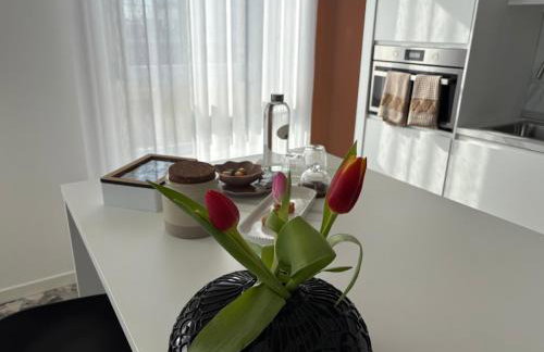 La terrazza sul Corso - Foto 10