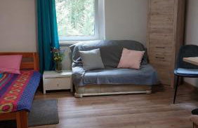 Leśna Przystań - Foto 5