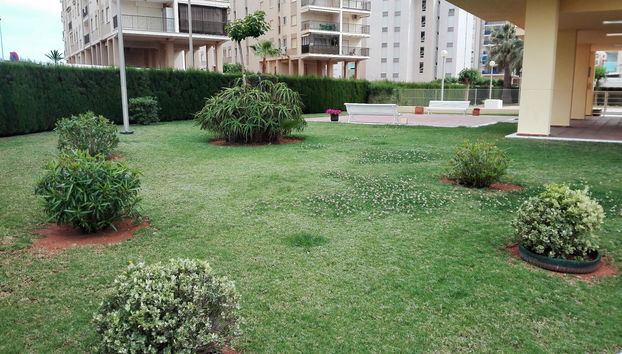 Apartamentos Benicassim 3000 - Foto 4