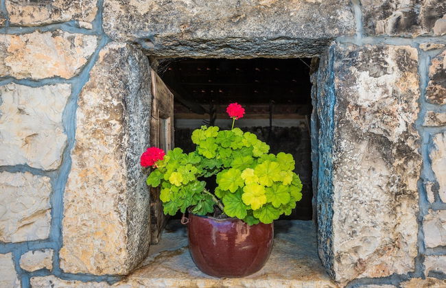 Villa Petrovi Dvori - Foto 40