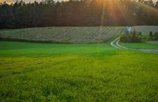 Poziomkowy Zakątek - Foto 25