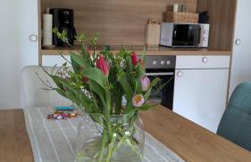 Ferienwohnung Sorgenfrei - Foto 3