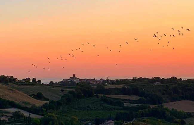 ChiaraLuce Country House - Foto 41