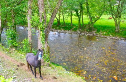 zentral club apartamento protón-jacuzzi - Foto 49