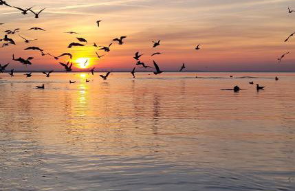 Familienurlaub 8 Personen Ferienhaus Polen Urlaub Insel Wolin Ostsee Ferienwohnung - Foto 28