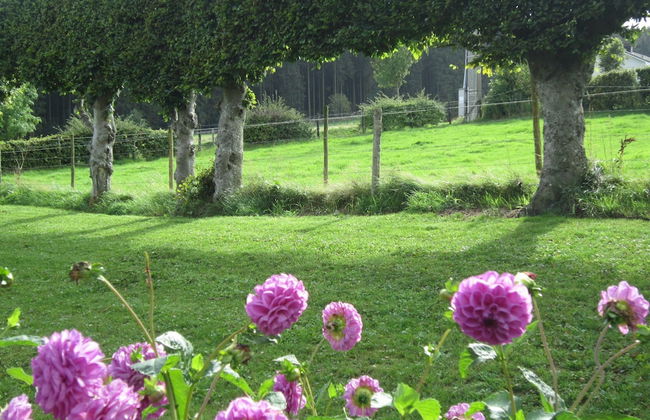 Cottage in Kuchelscheid With Terrace - Photo 31