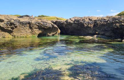 Detached Bungalow in North Cornwall - Foto 26
