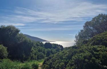 Mini villa 70 - piscine chauffée - Foto 10