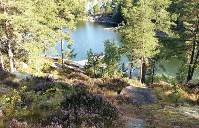 Dream Cottage in the Stockholm Archipelago - Foto 14