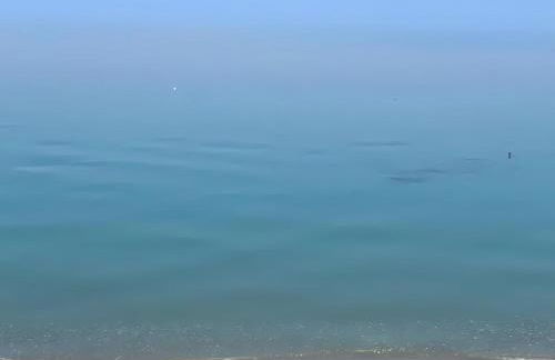 “Sound of the sea” first line studio - Photo 49