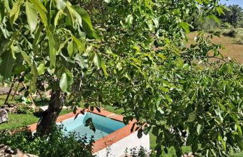 CASA DA VIZINHA, QUINTA DAS MEMÓRIAS - Foto 6