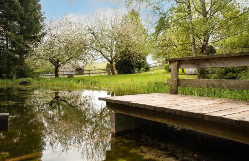 Ferienhof Homann Sauerland - Foto 73