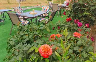 Venias Rooms - Photo 20