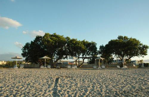 Electra Studios - Foto 97