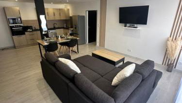 Grand appartement Roanne centre - Foto 2