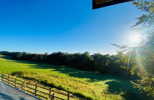 Hollow Brook Cottage A Quiet Peak District Stay Surrounded by Nature Grown-Ups Only - Photo 6