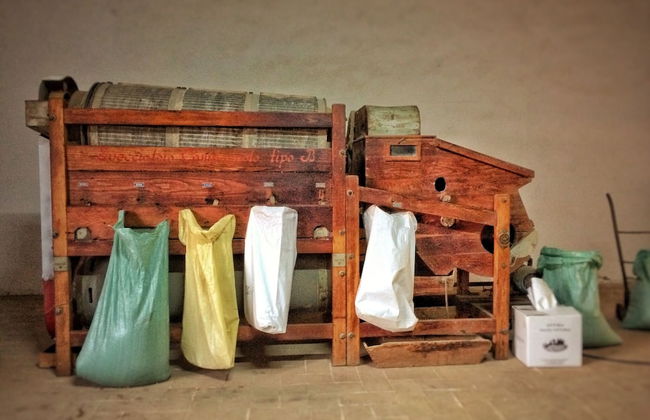 Fattoria Santa Vittoria Apartment Gazza - Foto 11