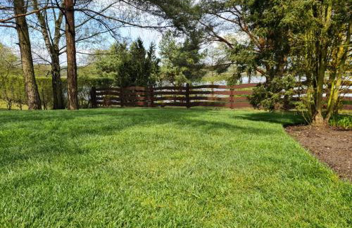 Bajkowy Domek Nad Samym Jeziorem - Foto 7