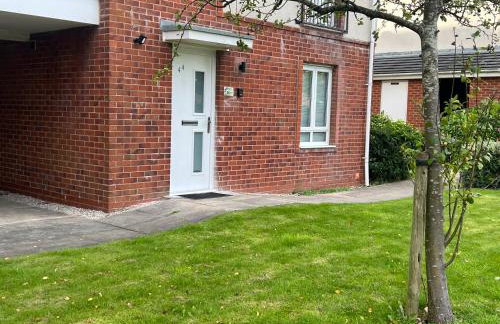 Buckshaw Snoozy - Foto 11