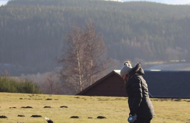 Shetland Cottage - Foto 10