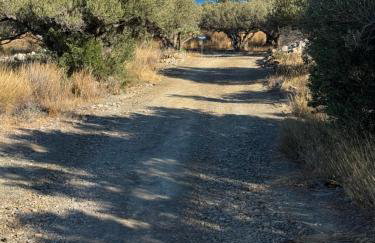 Victoria's House Xerokambos - Foto 21