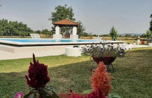 Αρχοντικό Παπανικολάου - Foto 56