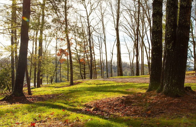 Asheville Country Cabins - Foto 37