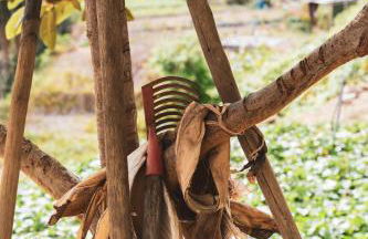 Casa rural Los Madroños - Photo 37