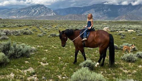 Yellowstone River! Mountain Views! - Foto 5