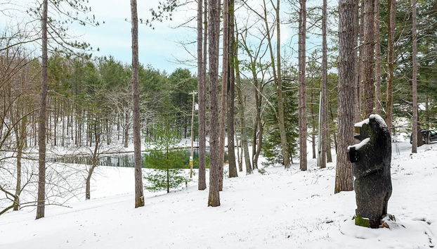 Casa di Maria by Taylor Made Deep Creek - Foto 3, Servicios del alojamiento