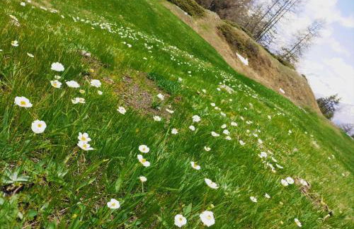 Casa per vacanze degli gnomi - Foto 56