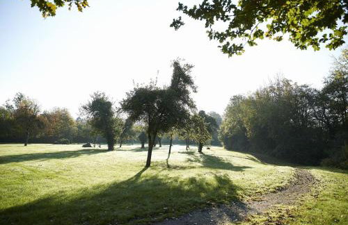 Green Gables - Foto 27