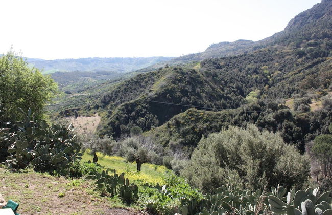 Azienda Agrituristica Le Puzelle - Foto 47