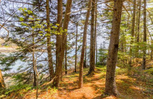 Boothbay Beauty - Foto 23