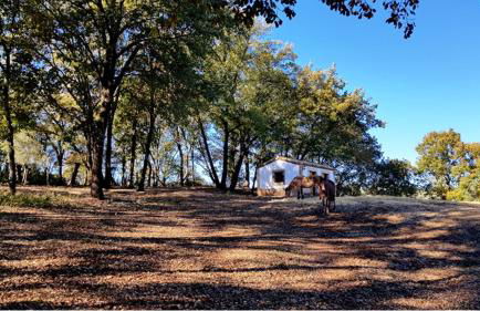 FINCA LA LISERILLA - Foto 29