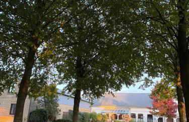 Wohnen in der ehemaligen Bauernstube - Foto 33