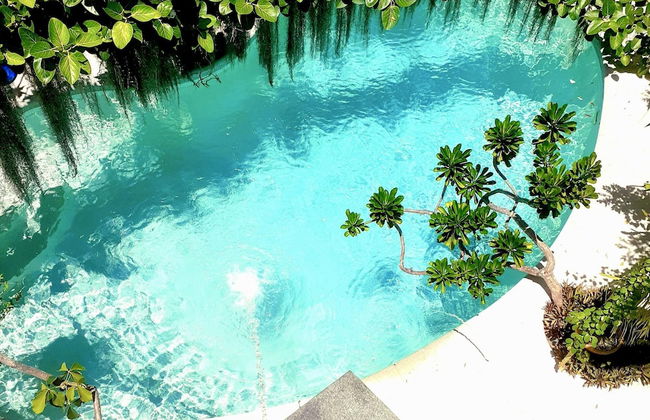 Unique Art Nature Hideaway Walkable to Wilton Drive - Foto 12