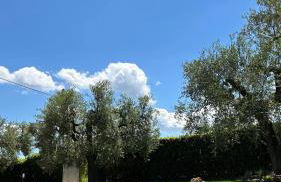 Casa Adriano-Dimora per vacanze - Foto 33