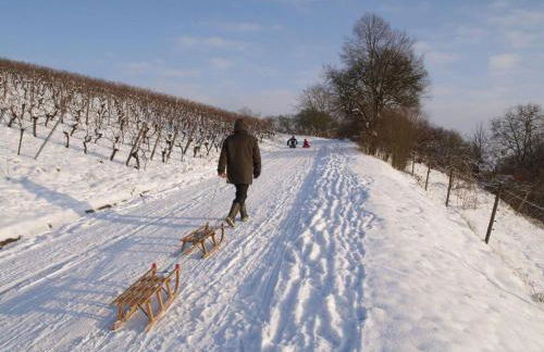 Atelier-Rapp - Foto 27