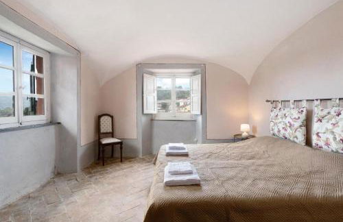 AFFRESCATO - Palazzo Ravaschieri - Foto 17