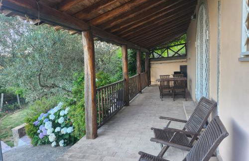 Casale Sant'Egidio - Lago di Bolsena - Foto 12