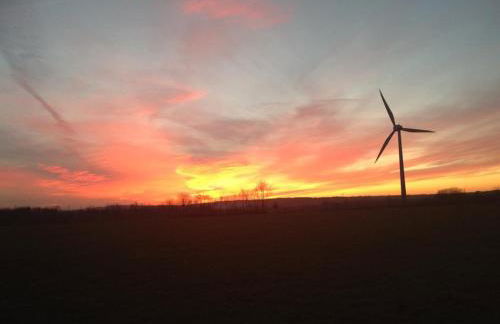 Ferienhaus Ginkgo Biloba - Foto 51